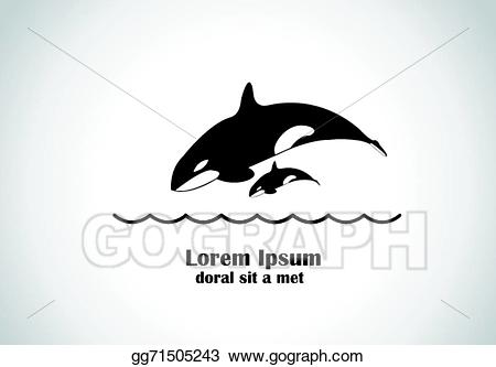 orca clipart baby