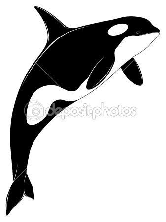 orca clipart ballena