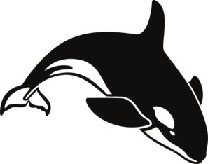 orca clipart black and white