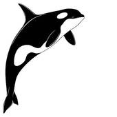 orca clipart cartoon