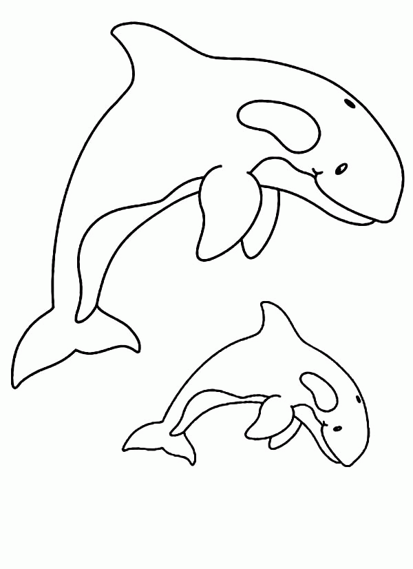 orca clipart coloring page