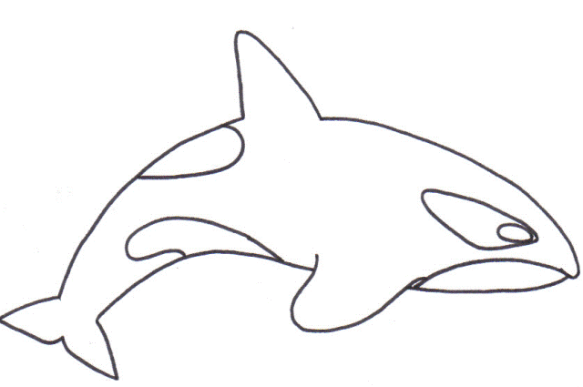 orca clipart coloring page