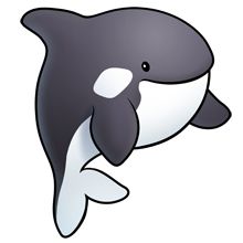 orca clipart cute