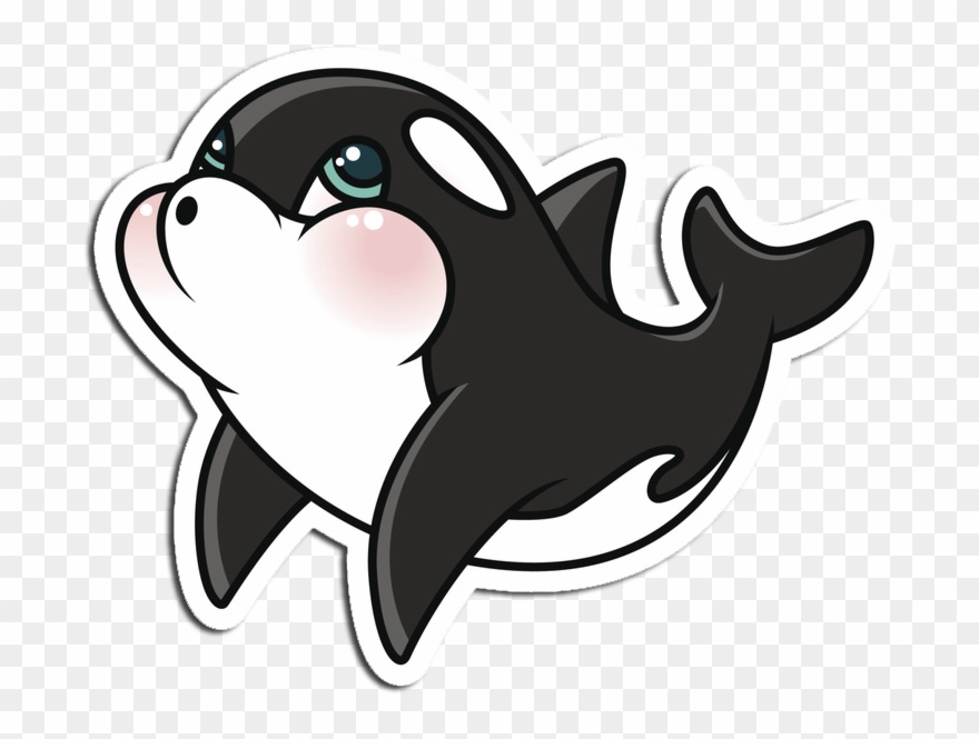 orca clipart cute animal