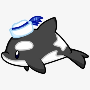 orca clipart cute animal