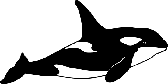 Orca clipart cute sea creature. Whale free download best