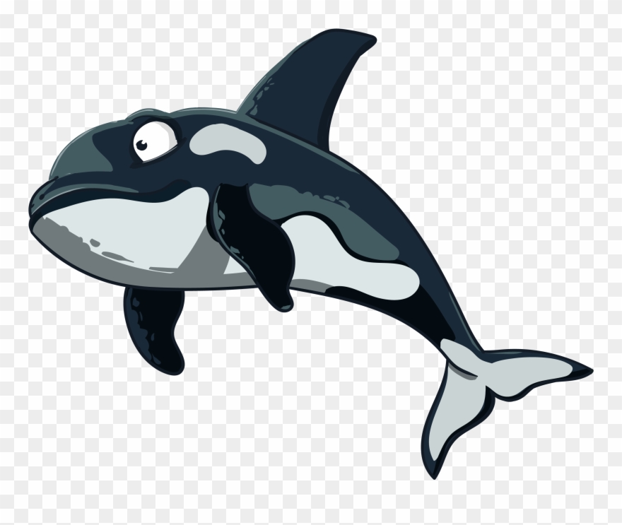 Orca clipart cute sea creature. Animals killer whale 