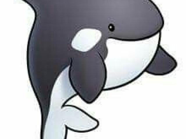 orca clipart cute sea creature