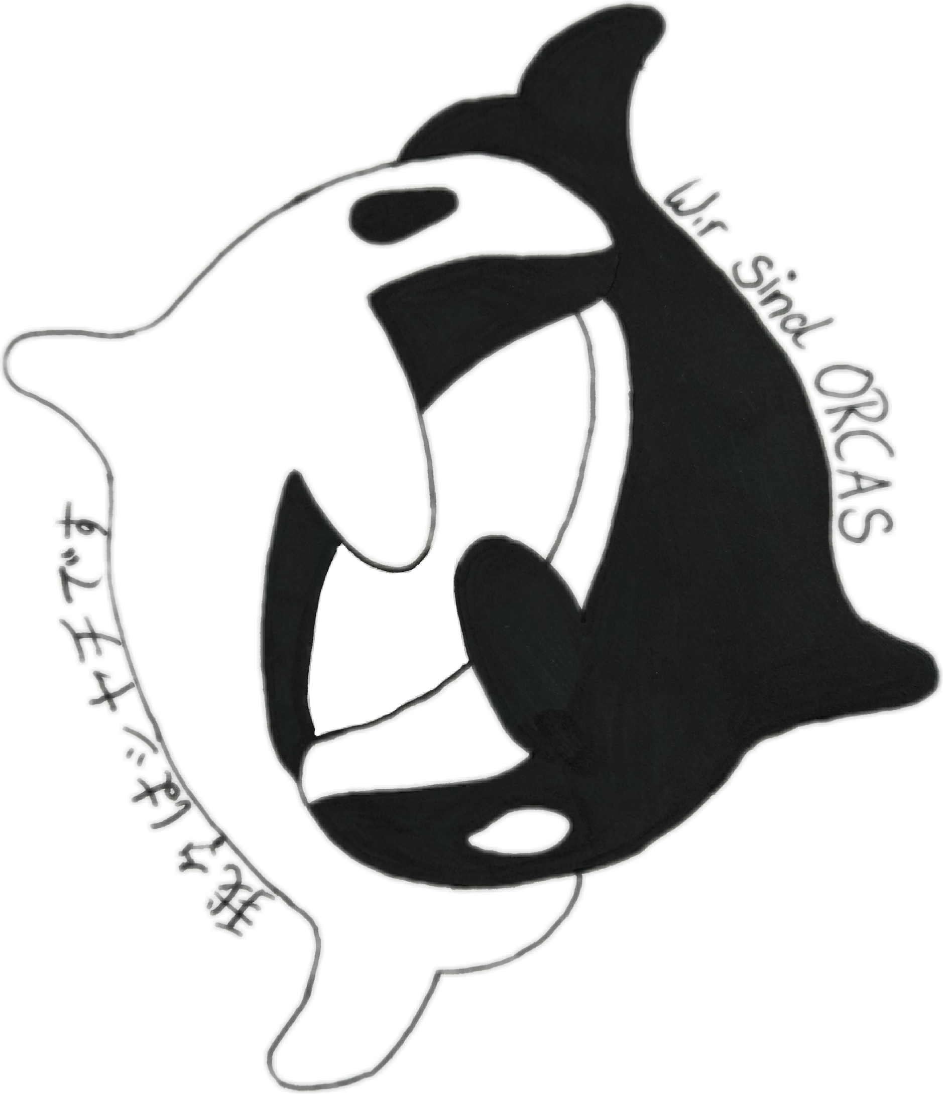 orca clipart drawing