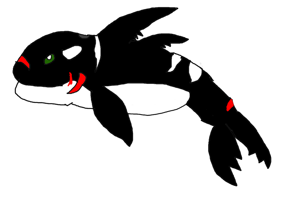 orca clipart drawing