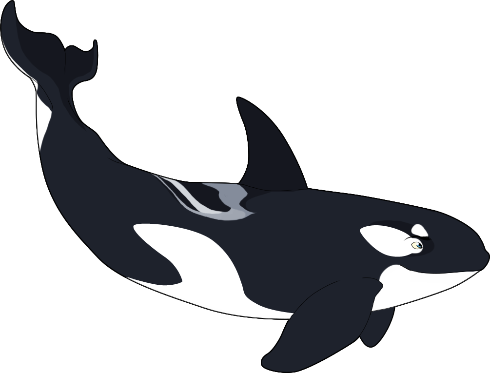 orca clipart fish