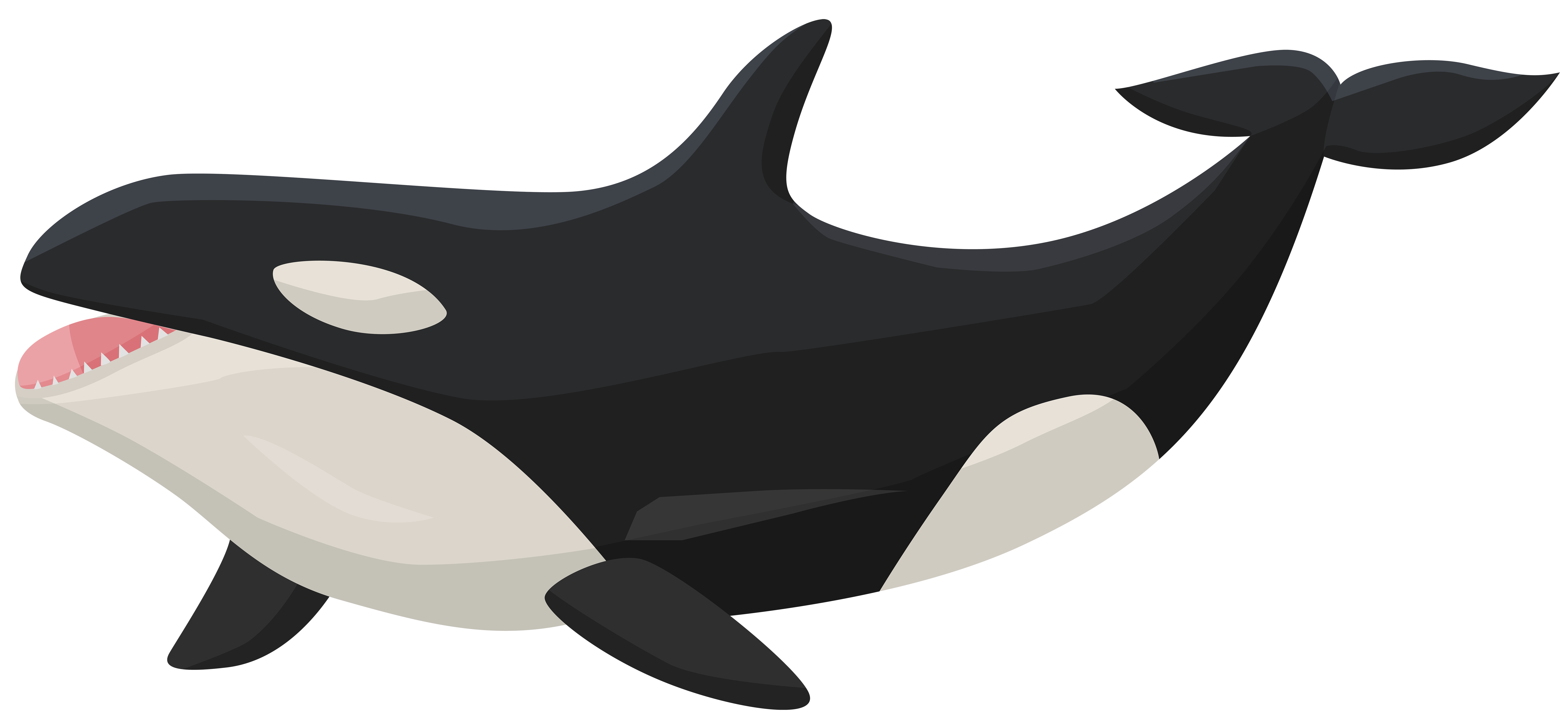 orca clipart octonauts