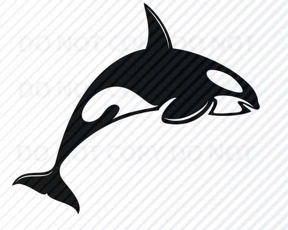 orca clipart silhouette