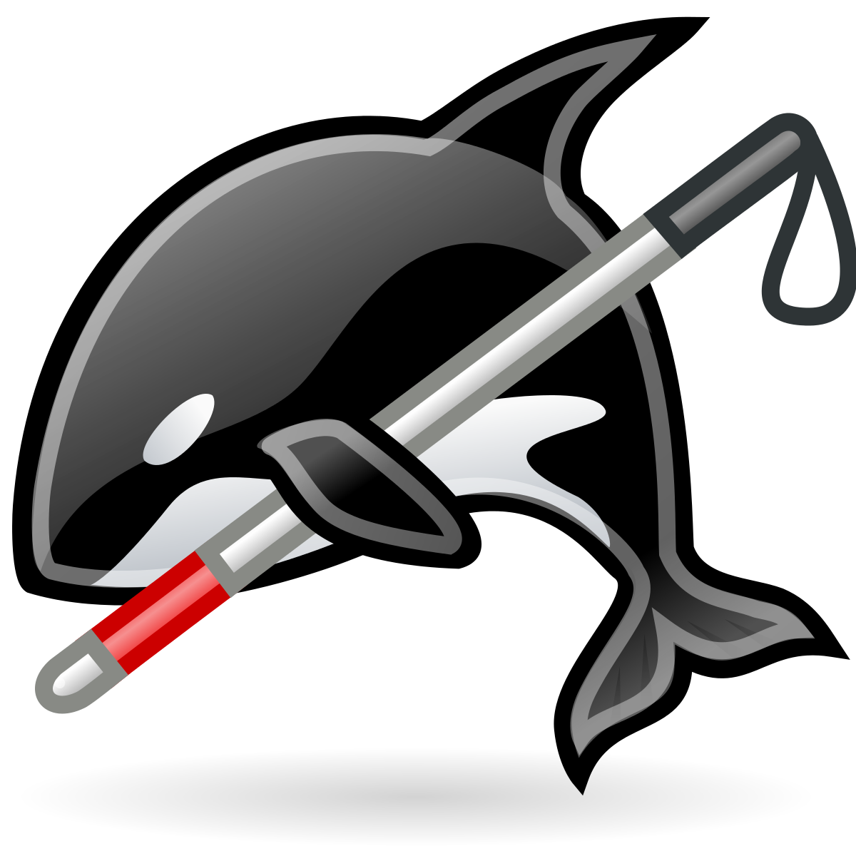 orca clipart simple