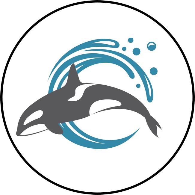 orca clipart simple