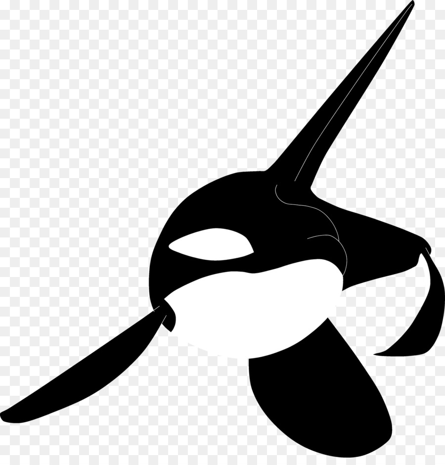 orca clipart sketch