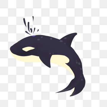 orca clipart small