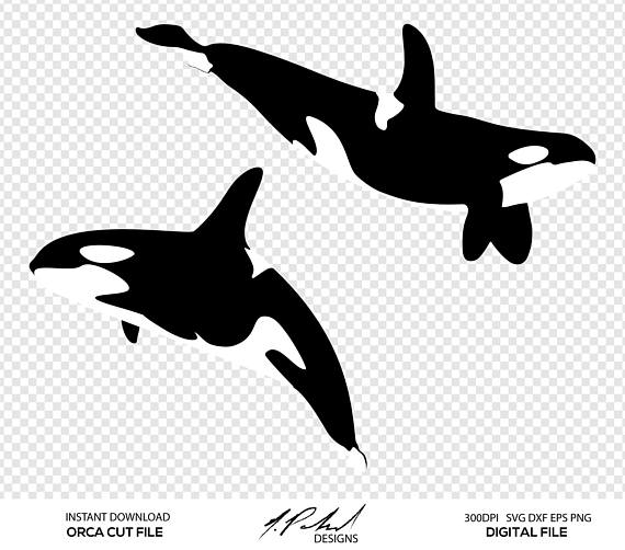 orca clipart svg