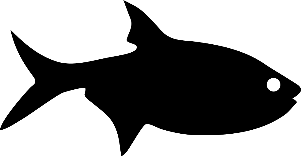 orca clipart svg