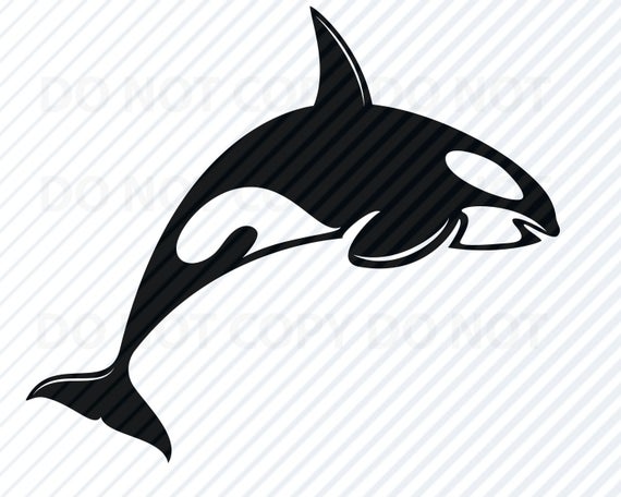orca clipart svg