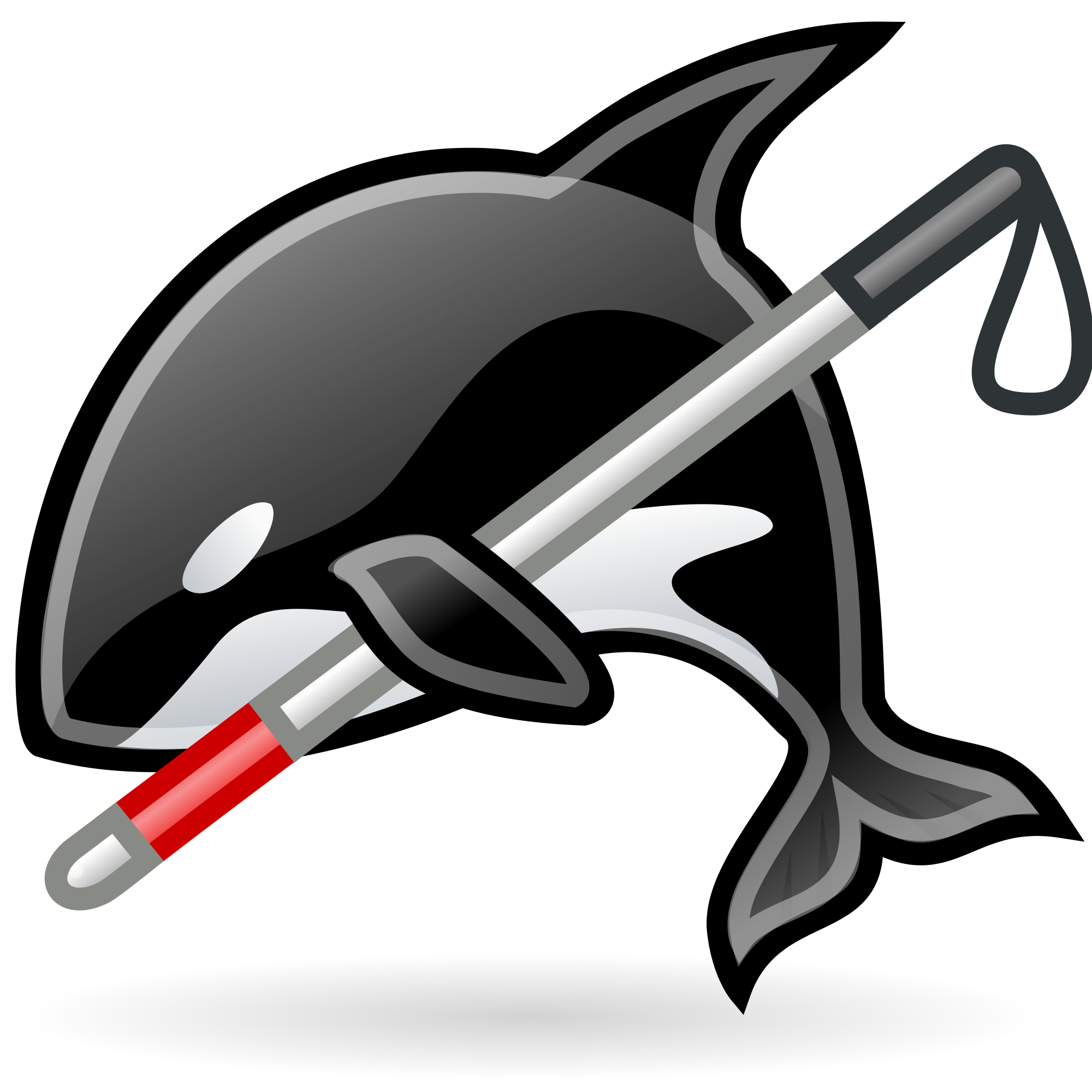 orca clipart svg