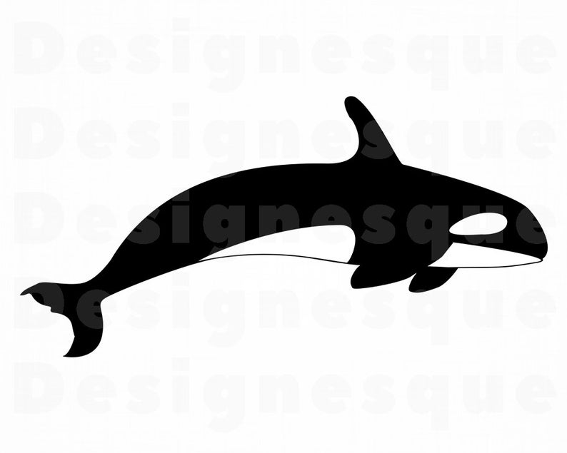 orca clipart svg