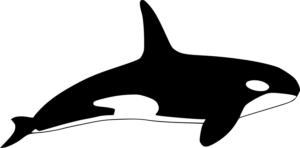 orca clipart vector