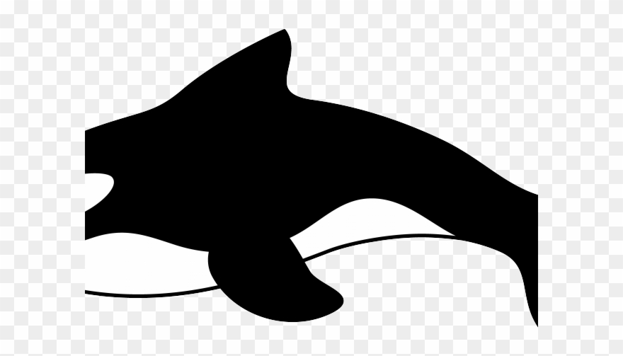 orca clipart whale dolphin