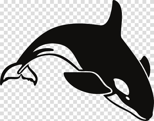 Orca clipart whale swimming. Killer humpback cartoon transparent