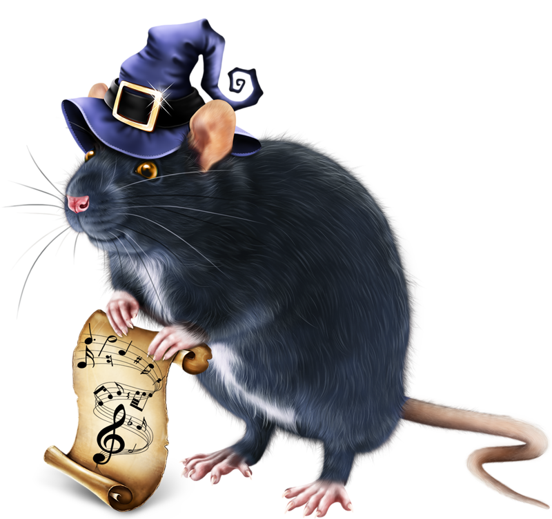 Orchestra clipart animals. Tubes d artist laguna