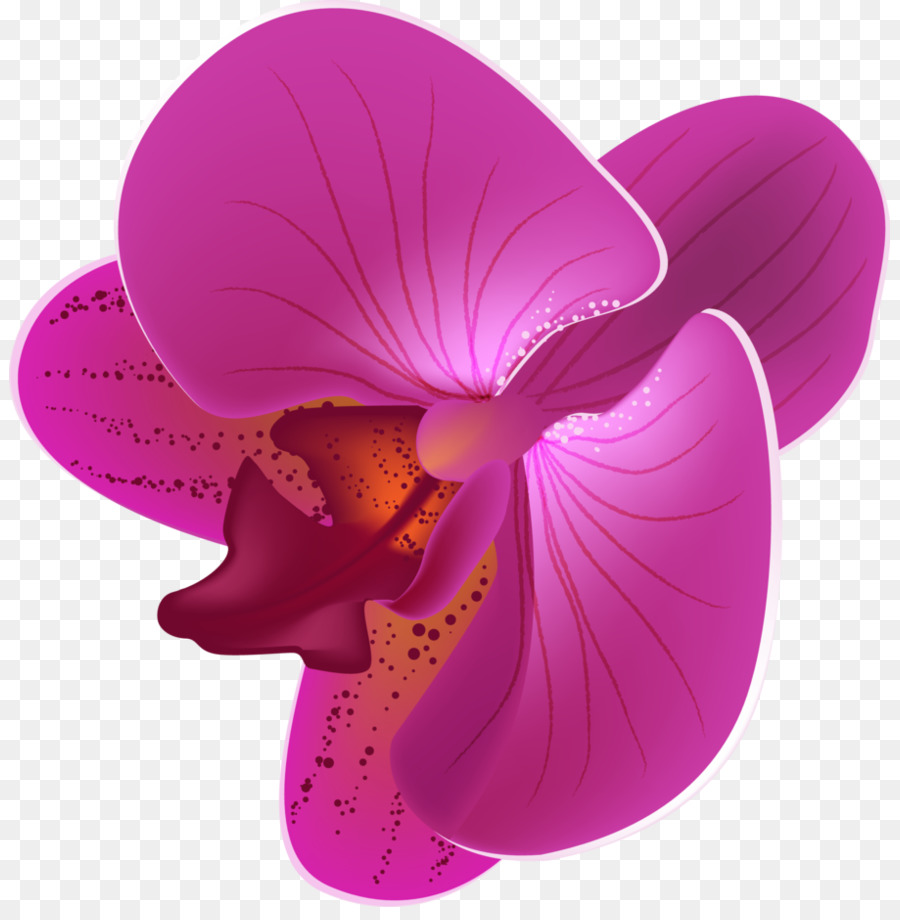 orchid clipart animated
