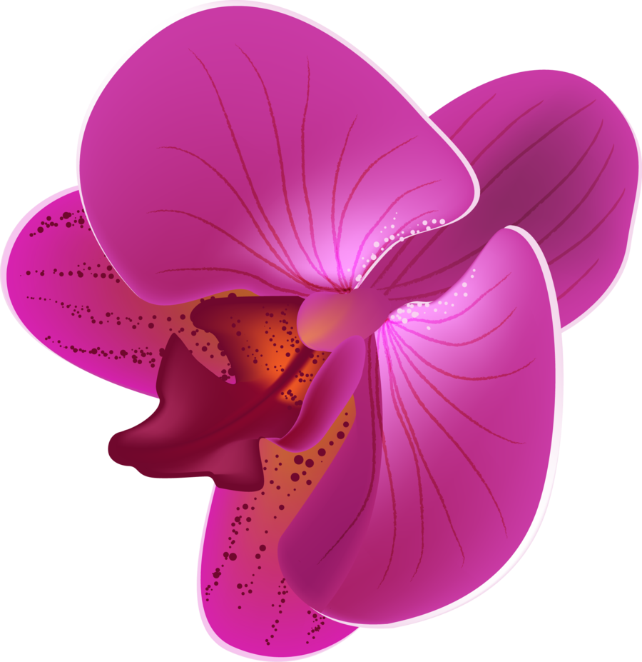 orchid clipart animated