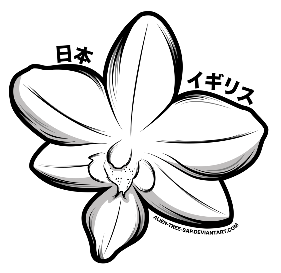 Orchid clipart black and white. Gousicteco line art images