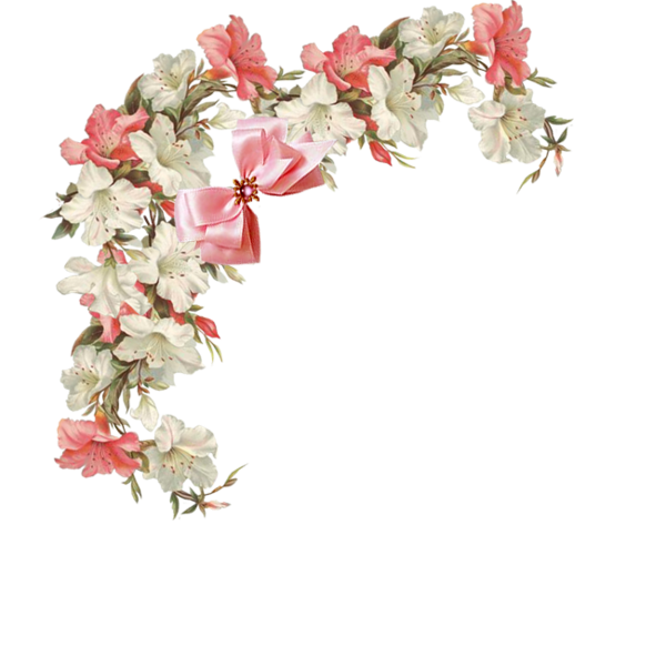 orchid clipart bougainvillea