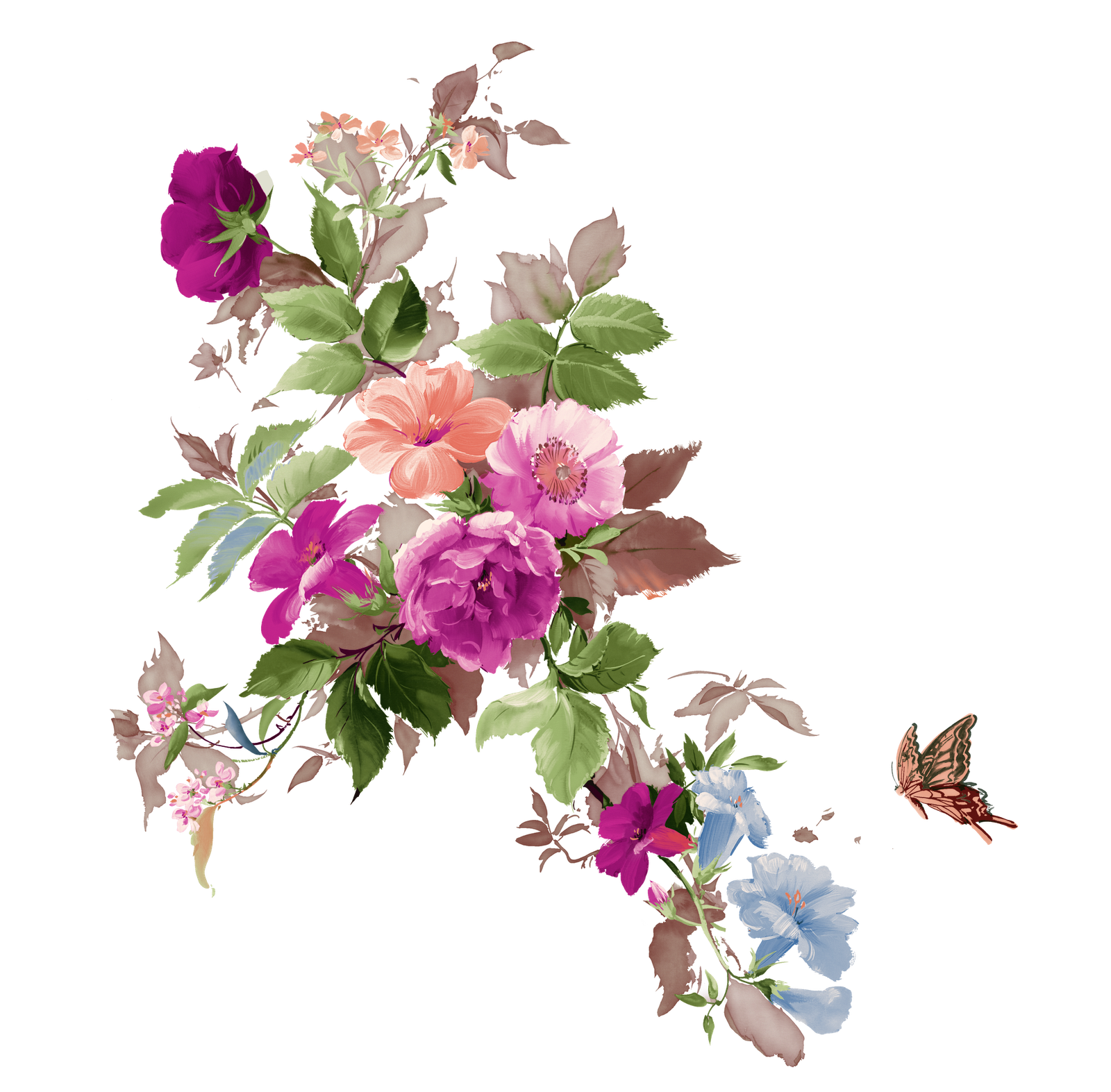 orchid clipart bougainvillea