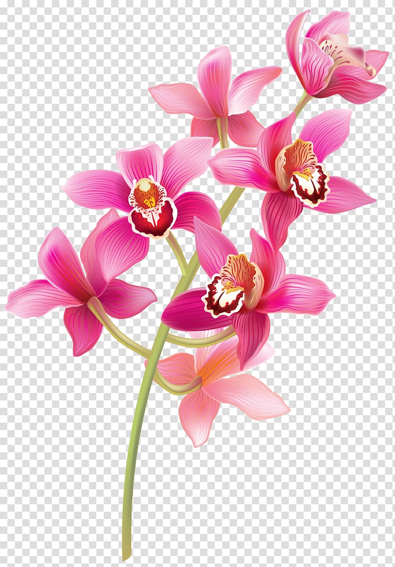 orchid clipart butterfly