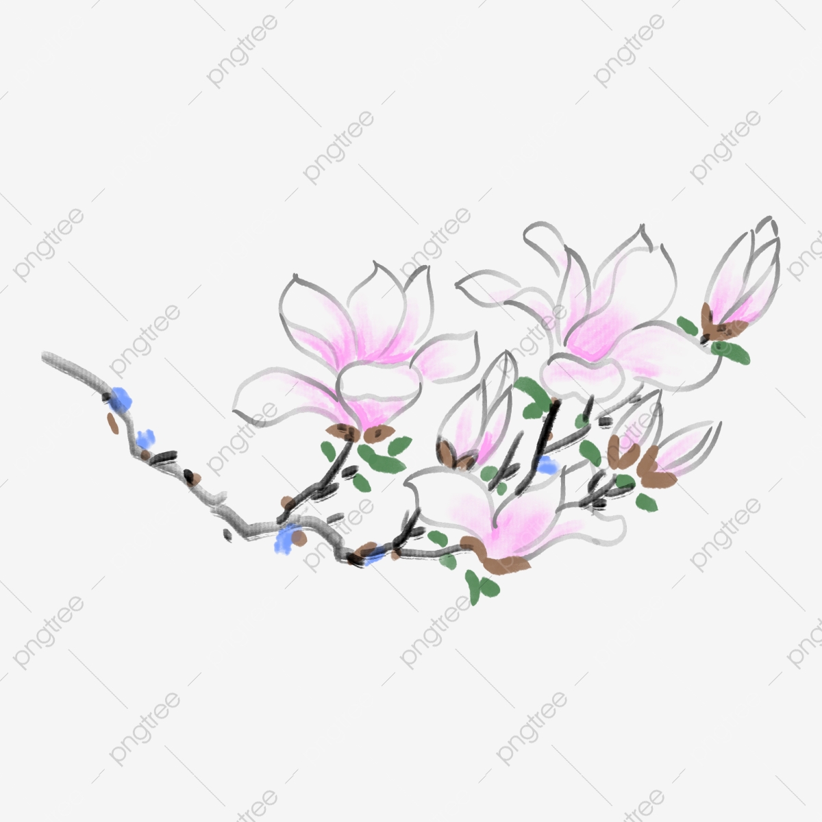 orchid clipart butterfly