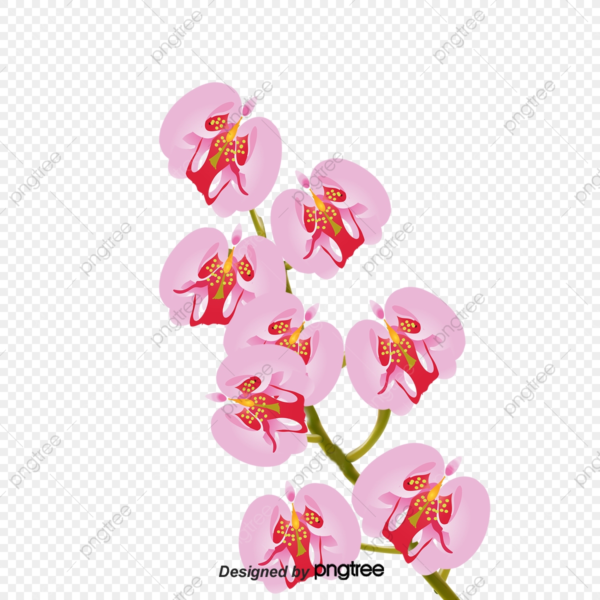 Short pitchfork bloom purple. Orchid clipart file