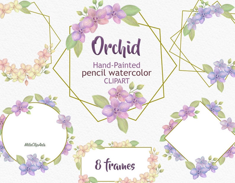 orchid clipart lavender