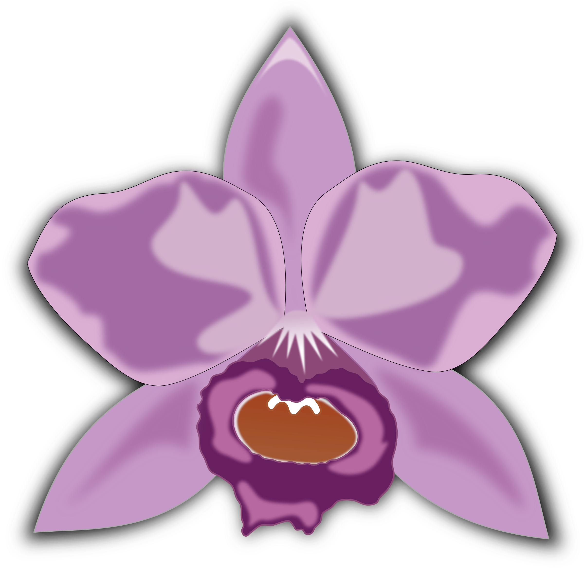 orchid clipart lilac