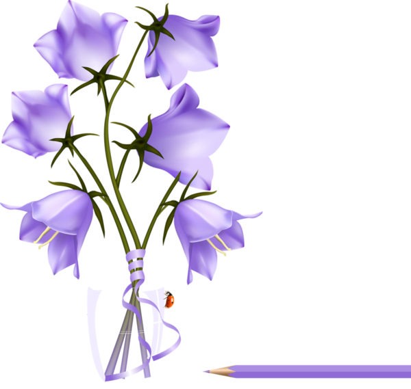 orchid clipart science nature