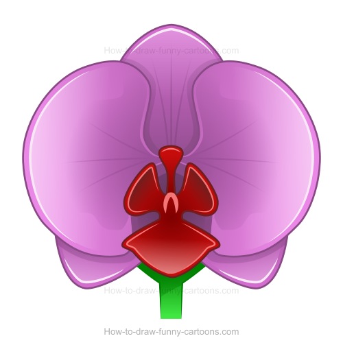 orchid clipart simple