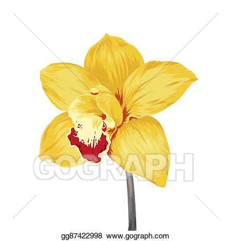 orchid clipart single