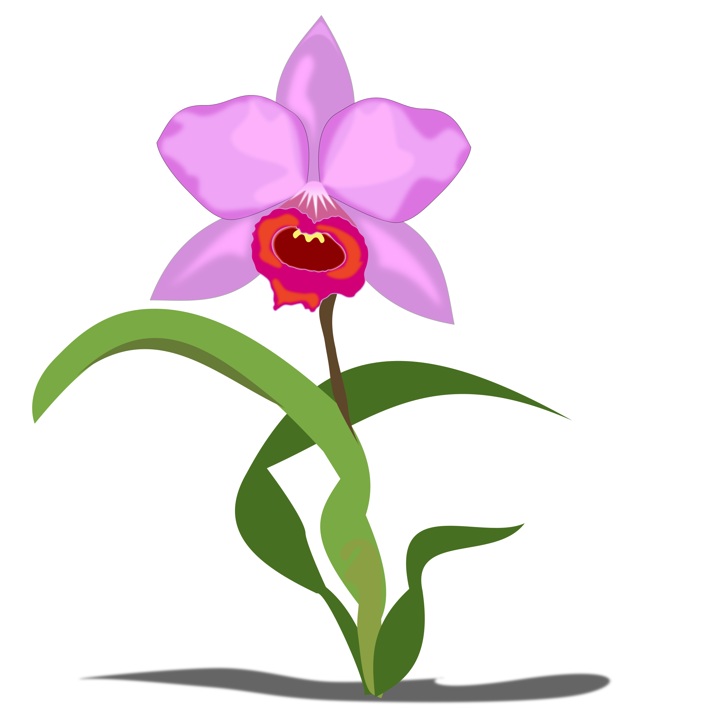 orchid clipart small pink