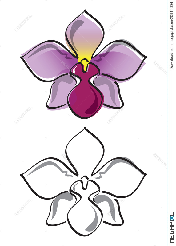 Flower vector illustration megapixl. Orchid clipart stylised