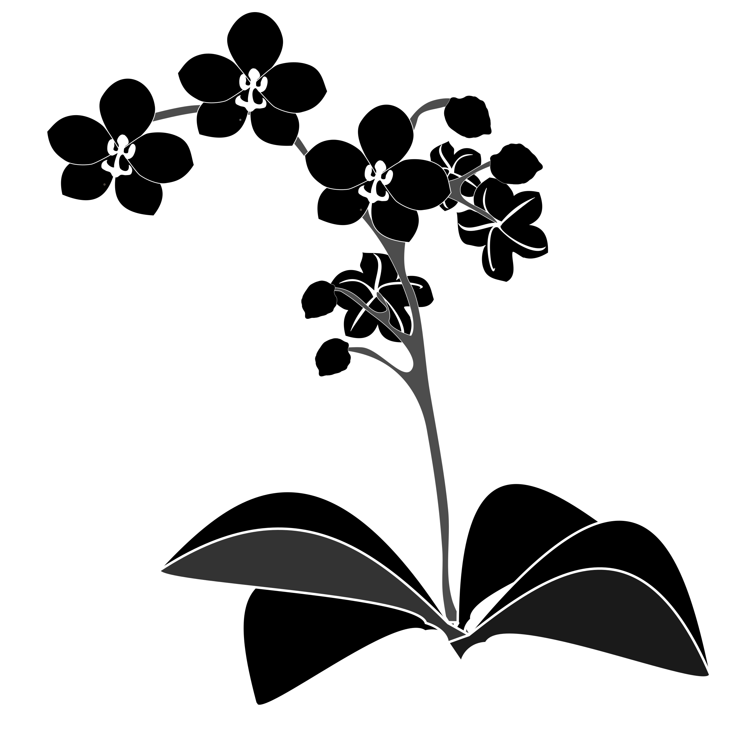 Free Free 220 Transparent Wild Flower Svg SVG PNG EPS DXF File