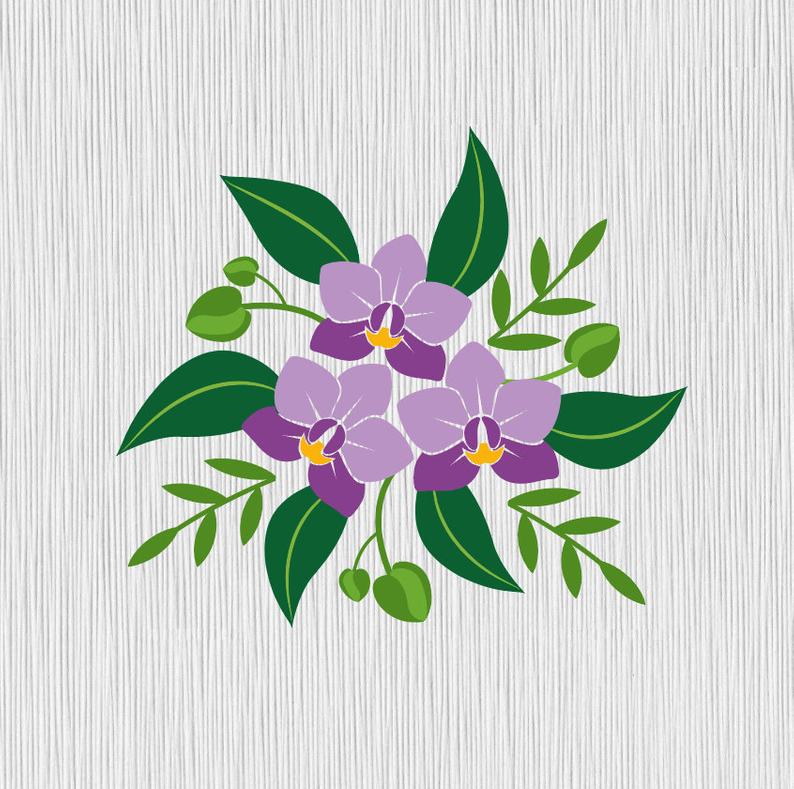 orchid clipart svg