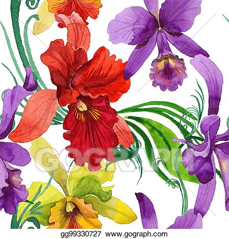 orchid clipart wild plant