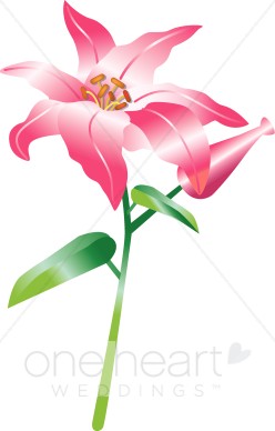 orchid clipart wild plant