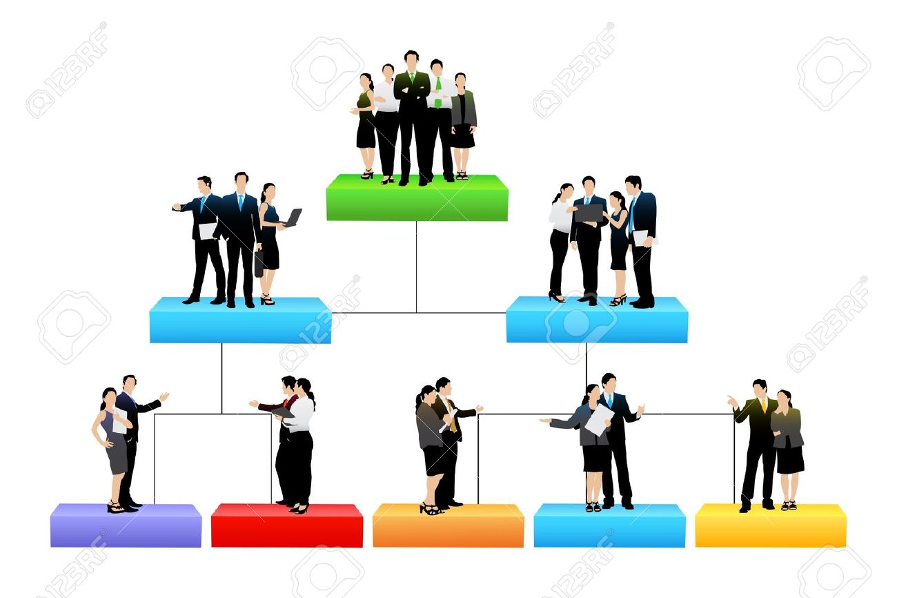 organization clipart corporate structure